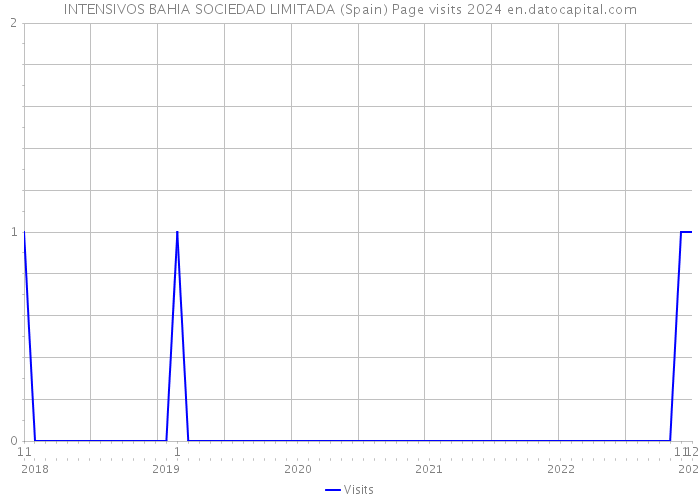 INTENSIVOS BAHIA SOCIEDAD LIMITADA (Spain) Page visits 2024 