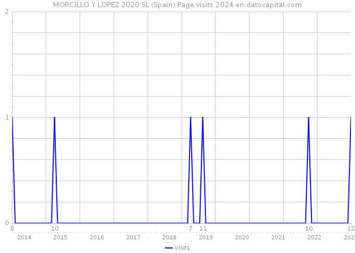 MORCILLO Y LOPEZ 2020 SL (Spain) Page visits 2024 