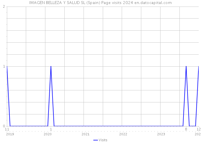 IMAGEN BELLEZA Y SALUD SL (Spain) Page visits 2024 