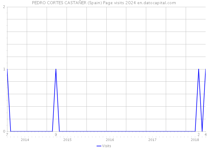 PEDRO CORTES CASTAÑER (Spain) Page visits 2024 