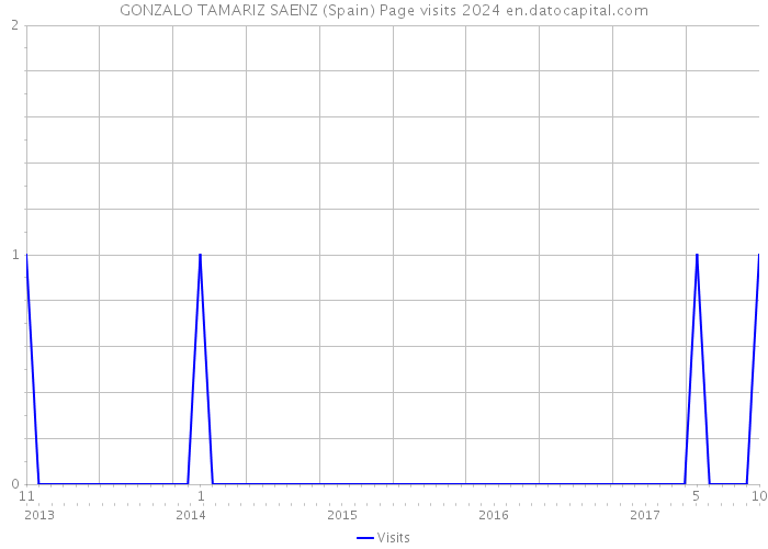 GONZALO TAMARIZ SAENZ (Spain) Page visits 2024 