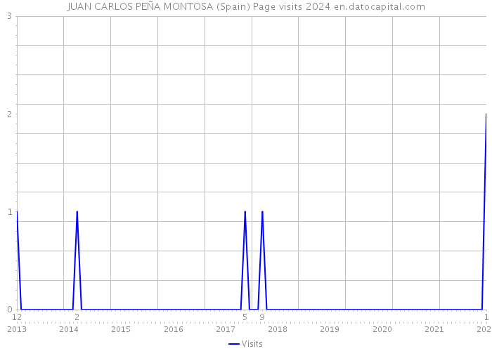 JUAN CARLOS PEÑA MONTOSA (Spain) Page visits 2024 