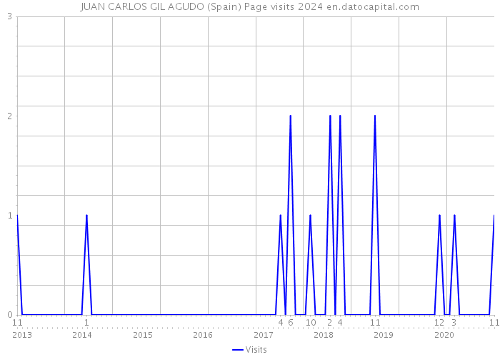 JUAN CARLOS GIL AGUDO (Spain) Page visits 2024 