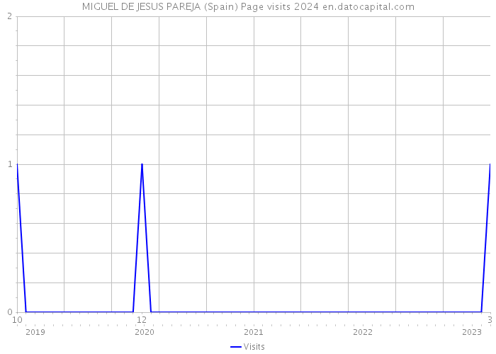 MIGUEL DE JESUS PAREJA (Spain) Page visits 2024 