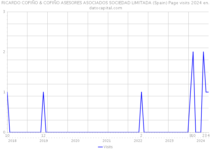 RICARDO COFIÑO & COFIÑO ASESORES ASOCIADOS SOCIEDAD LIMITADA (Spain) Page visits 2024 