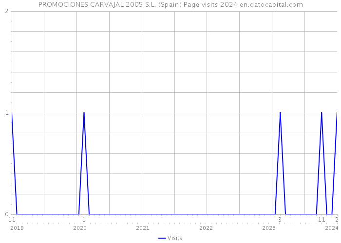 PROMOCIONES CARVAJAL 2005 S.L. (Spain) Page visits 2024 