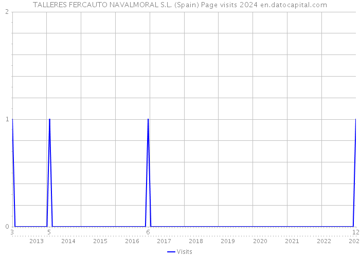 TALLERES FERCAUTO NAVALMORAL S.L. (Spain) Page visits 2024 