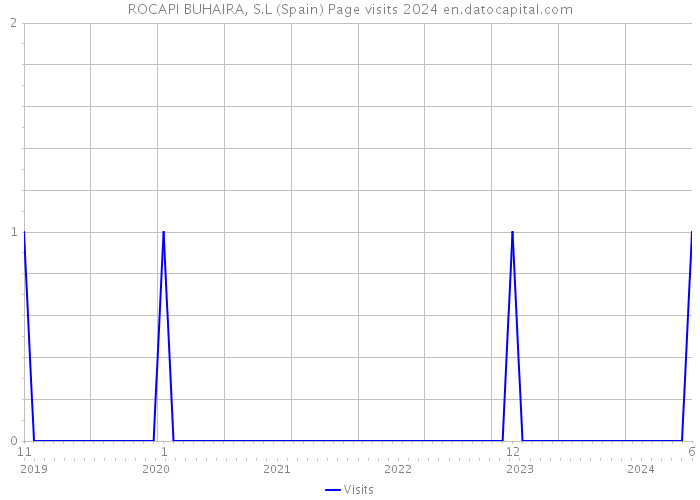 ROCAPI BUHAIRA, S.L (Spain) Page visits 2024 