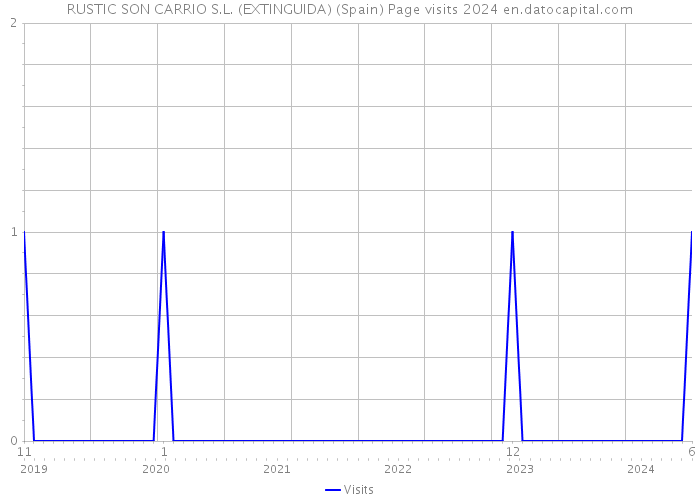 RUSTIC SON CARRIO S.L. (EXTINGUIDA) (Spain) Page visits 2024 