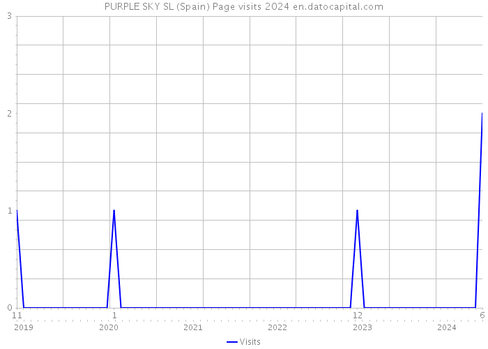 PURPLE SKY SL (Spain) Page visits 2024 