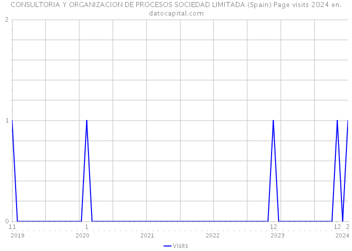 CONSULTORIA Y ORGANIZACION DE PROCESOS SOCIEDAD LIMITADA (Spain) Page visits 2024 