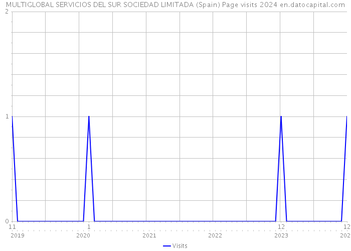 MULTIGLOBAL SERVICIOS DEL SUR SOCIEDAD LIMITADA (Spain) Page visits 2024 