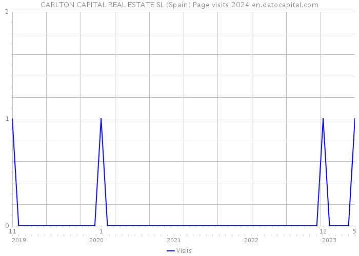 CARLTON CAPITAL REAL ESTATE SL (Spain) Page visits 2024 