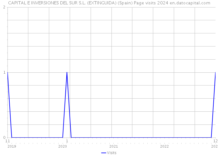 CAPITAL E INVERSIONES DEL SUR S.L. (EXTINGUIDA) (Spain) Page visits 2024 