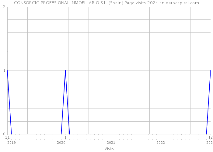 CONSORCIO PROFESIONAL INMOBILIARIO S.L. (Spain) Page visits 2024 