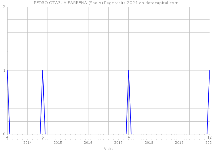 PEDRO OTAZUA BARRENA (Spain) Page visits 2024 