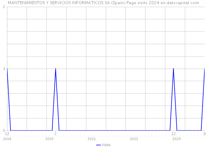 MANTENIMIENTOS Y SERVICIOS INFORMATICOS SA (Spain) Page visits 2024 