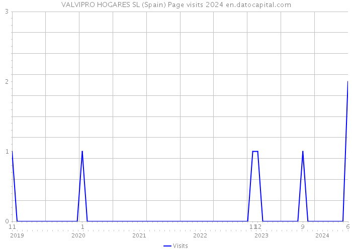 VALVIPRO HOGARES SL (Spain) Page visits 2024 