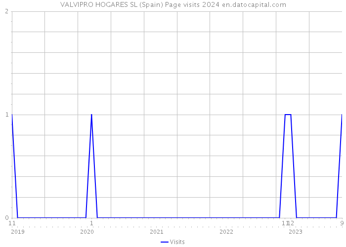 VALVIPRO HOGARES SL (Spain) Page visits 2024 