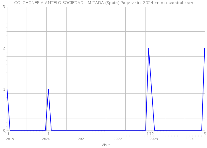 COLCHONERIA ANTELO SOCIEDAD LIMITADA (Spain) Page visits 2024 