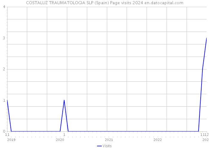 COSTALUZ TRAUMATOLOGIA SLP (Spain) Page visits 2024 