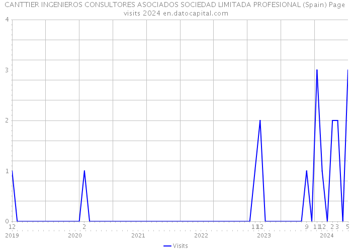 CANTTIER INGENIEROS CONSULTORES ASOCIADOS SOCIEDAD LIMITADA PROFESIONAL (Spain) Page visits 2024 
