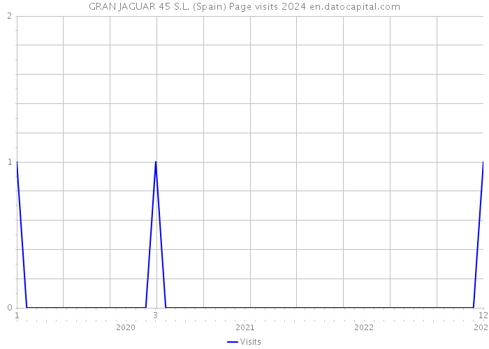 GRAN JAGUAR 45 S.L. (Spain) Page visits 2024 