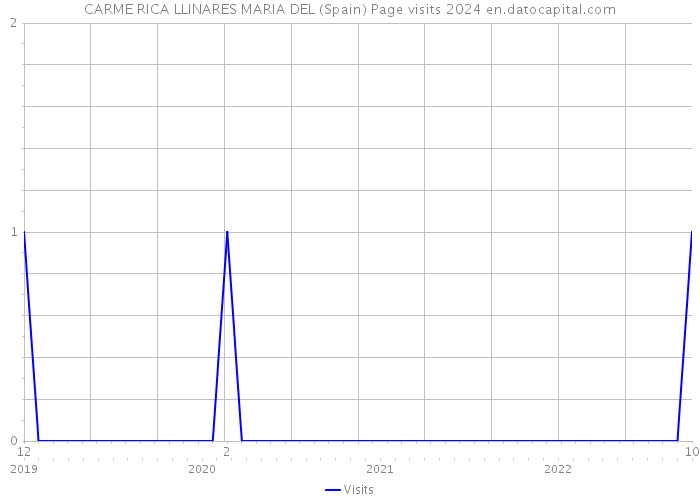 CARME RICA LLINARES MARIA DEL (Spain) Page visits 2024 