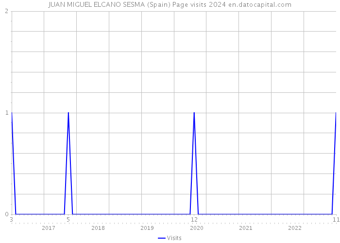 JUAN MIGUEL ELCANO SESMA (Spain) Page visits 2024 