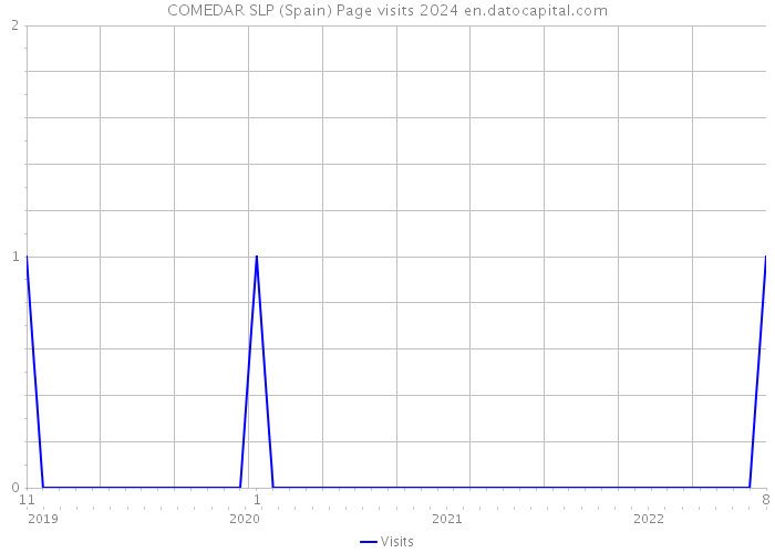 COMEDAR SLP (Spain) Page visits 2024 