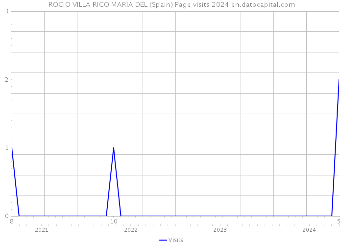 ROCIO VILLA RICO MARIA DEL (Spain) Page visits 2024 