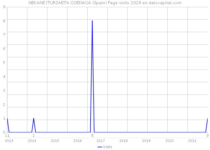 NEKANE ITURZAETA GOENAGA (Spain) Page visits 2024 