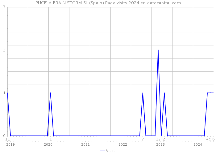 PUCELA BRAIN STORM SL (Spain) Page visits 2024 