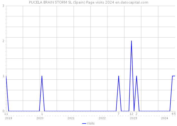 PUCELA BRAIN STORM SL (Spain) Page visits 2024 