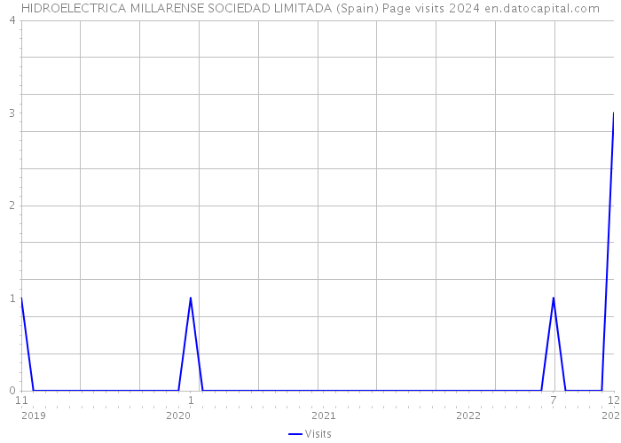HIDROELECTRICA MILLARENSE SOCIEDAD LIMITADA (Spain) Page visits 2024 