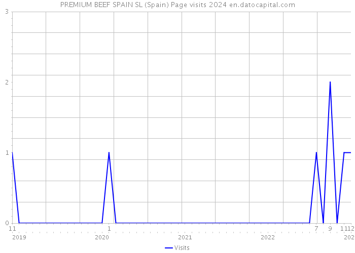 PREMIUM BEEF SPAIN SL (Spain) Page visits 2024 