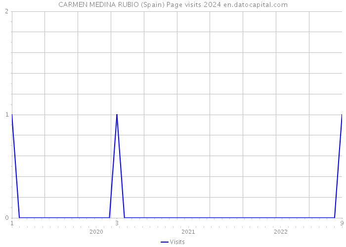 CARMEN MEDINA RUBIO (Spain) Page visits 2024 