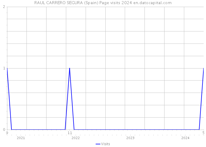 RAUL CARRERO SEGURA (Spain) Page visits 2024 