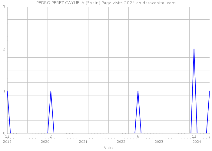 PEDRO PEREZ CAYUELA (Spain) Page visits 2024 