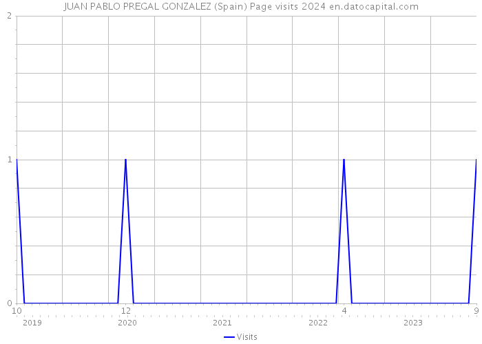 JUAN PABLO PREGAL GONZALEZ (Spain) Page visits 2024 