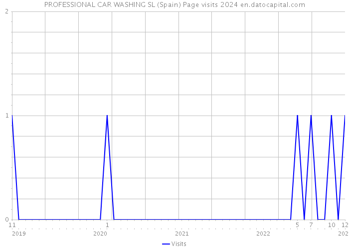 PROFESSIONAL CAR WASHING SL (Spain) Page visits 2024 