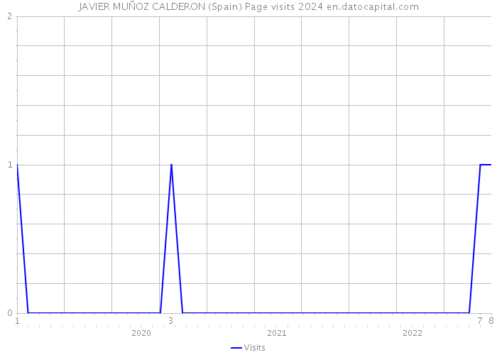 JAVIER MUÑOZ CALDERON (Spain) Page visits 2024 
