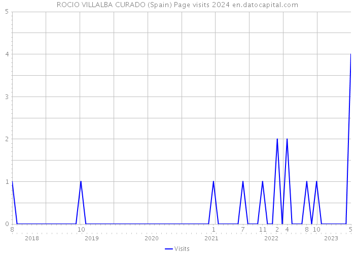 ROCIO VILLALBA CURADO (Spain) Page visits 2024 