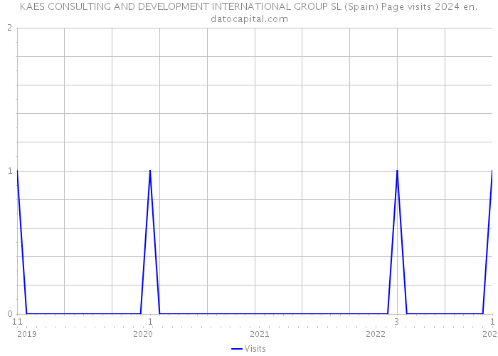 KAES CONSULTING AND DEVELOPMENT INTERNATIONAL GROUP SL (Spain) Page visits 2024 