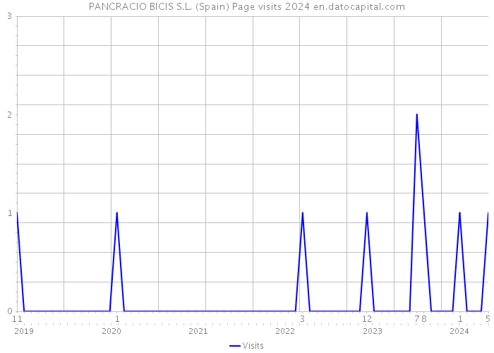 PANCRACIO BICIS S.L. (Spain) Page visits 2024 