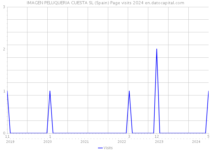 IMAGEN PELUQUERIA CUESTA SL (Spain) Page visits 2024 