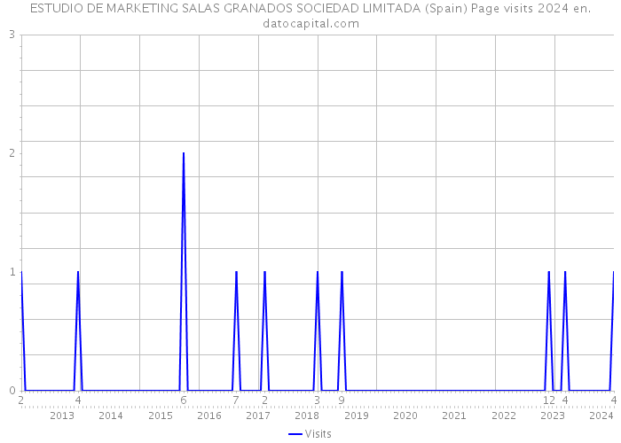 ESTUDIO DE MARKETING SALAS GRANADOS SOCIEDAD LIMITADA (Spain) Page visits 2024 