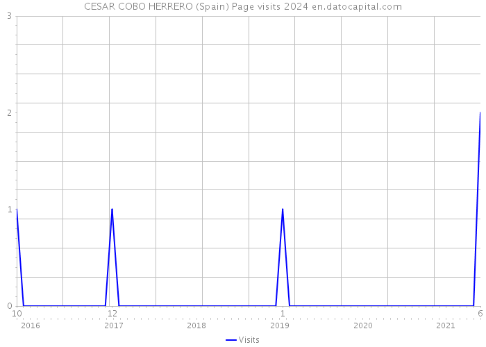 CESAR COBO HERRERO (Spain) Page visits 2024 