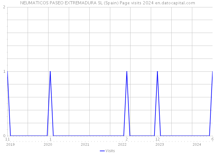 NEUMATICOS PASEO EXTREMADURA SL (Spain) Page visits 2024 