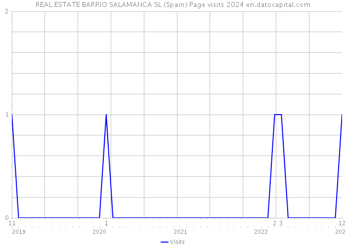 REAL ESTATE BARRIO SALAMANCA SL (Spain) Page visits 2024 